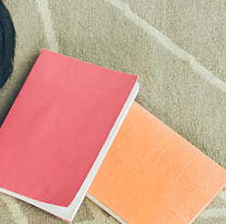 Learn a Language While You’re Sleeping